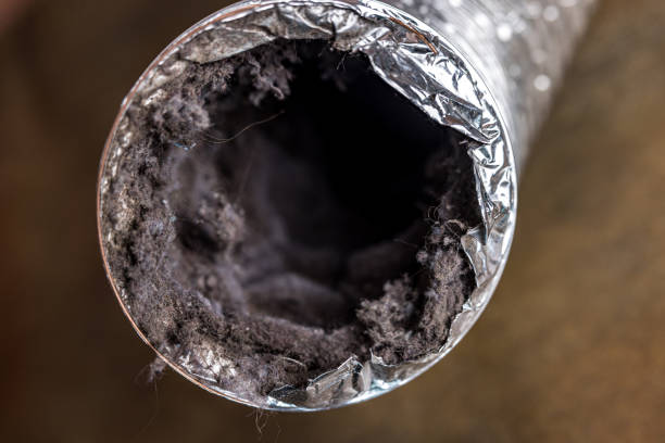 Best Ventilation Cleaning Services  in Statham, GA