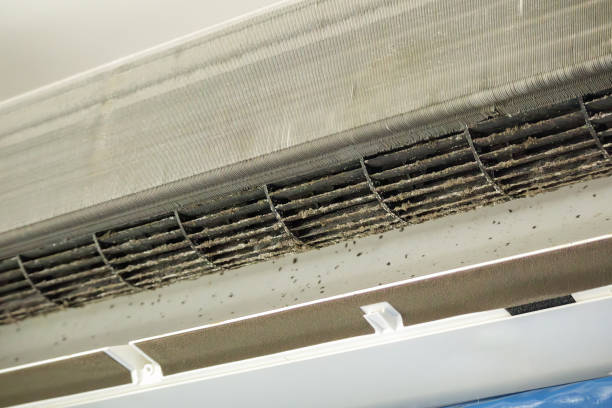Air Duct Mold Removal in Statham, GA