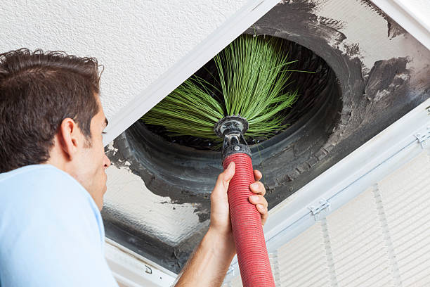 Best Air Duct Mold Removal  in Statham, GA